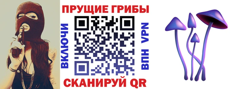 Купить где  Чехов  Галлюциногенные грибы GOLDEN TEACHER 